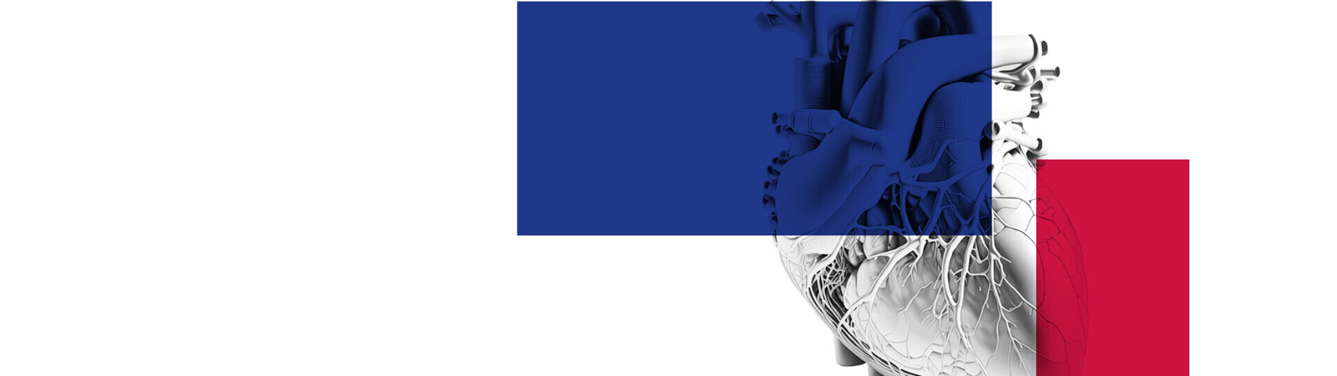 herztage-2023-dgk-kongress-32zu9-1920x540