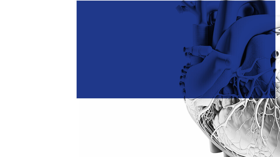 herztage-2023-dgk-kongress-32zu9-1920x540