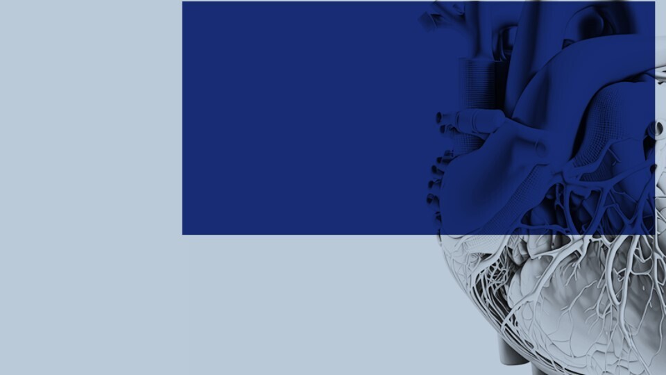 herztage-2023-dgk-kongress-32zu9-1920x540a