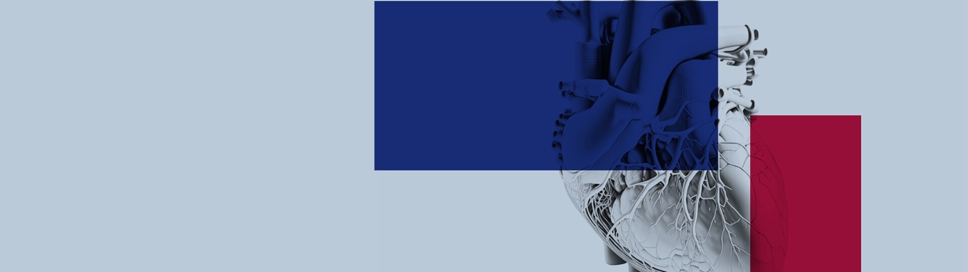 herztage-2023-dgk-kongress-32zu9-1920x540a