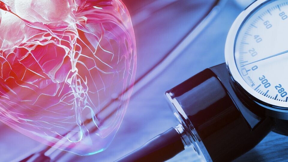 hypertonie-blutdruckmessung-shutterstock-2234315467-1920x540