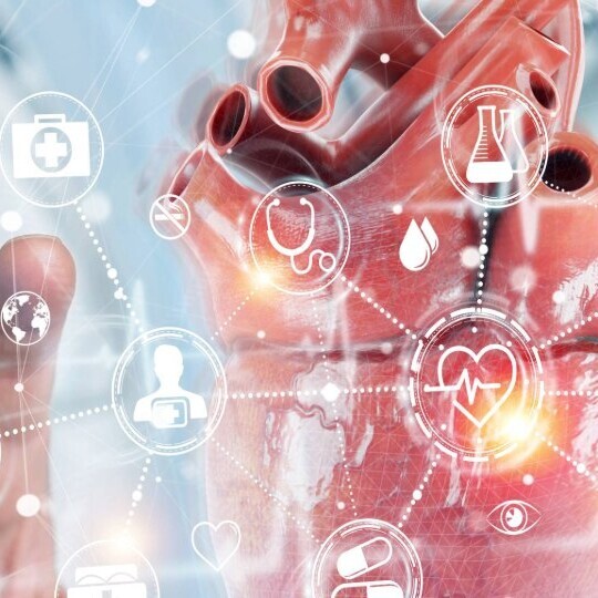 kardiologie-medizin-netzwerk-shutterstock-1715238061-32zu9-1920x540