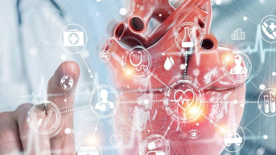 kardiologie-medizin-netzwerk-shutterstock-1715238061-32zu9-1920x540