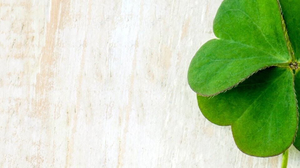 kleeblatt-glueck-shutterstock-578810455-32zu9-1920x540