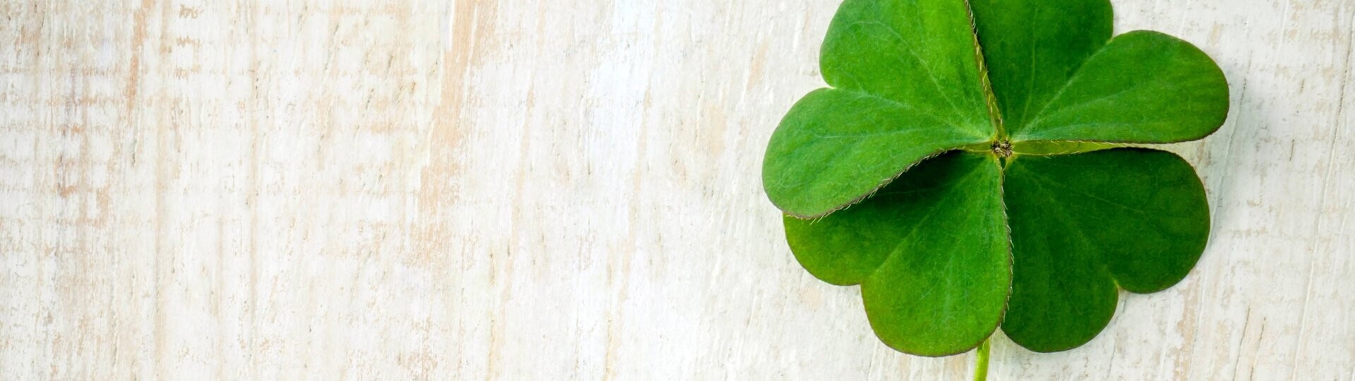 kleeblatt-glueck-shutterstock-578810455-32zu9-1920x540