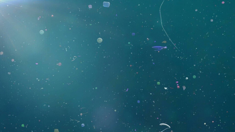 mikroplastik-shutterstock-1505469257-32zu9-1920x540