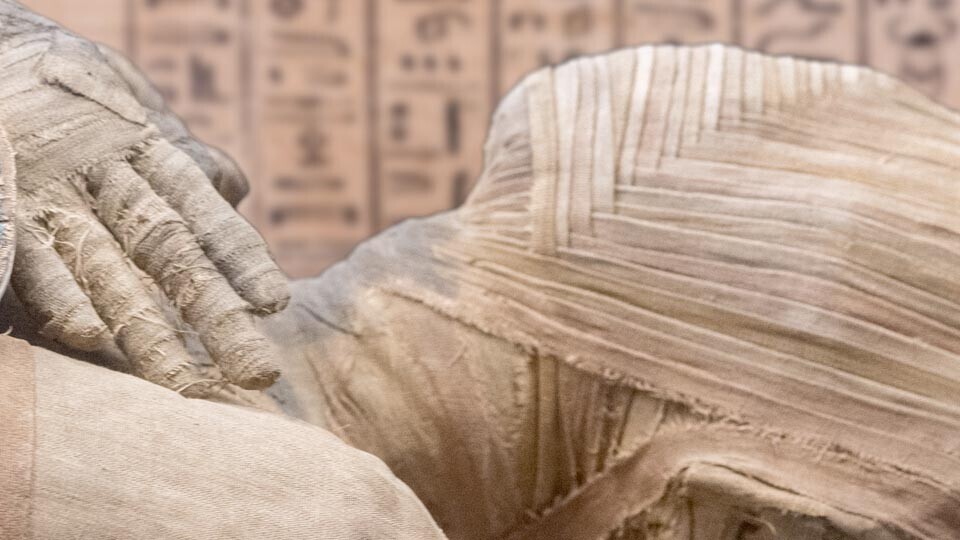 mumie-shutterstock-422842150-32zu9-1920x540px