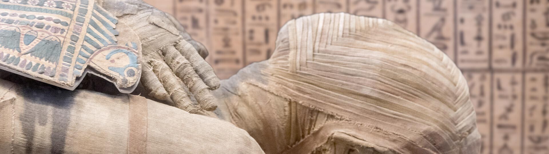 mumie-shutterstock-422842150-32zu9-1920x540px