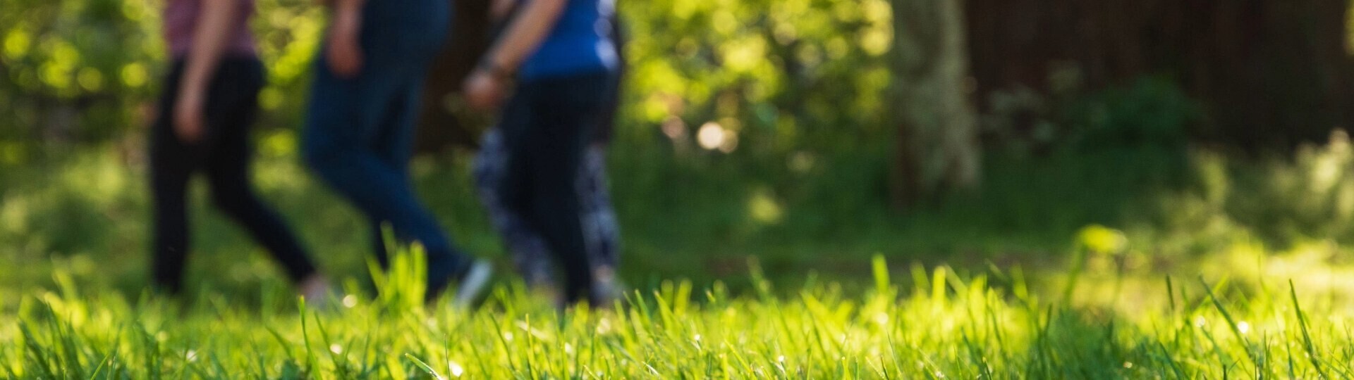 praevention-bewegung-shutterstock-1383118889-32zu9-1920x540a