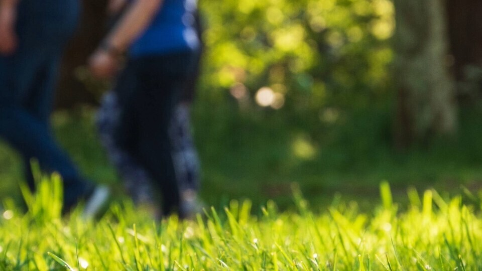 praevention-bewegung-shutterstock-1383118889-32zu9-1920x540a