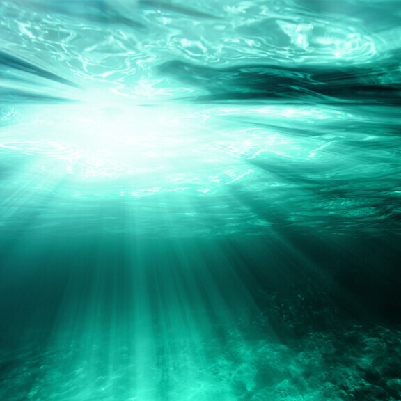 Quick Dive