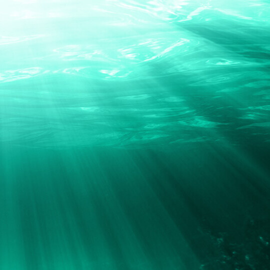 Quick Dive