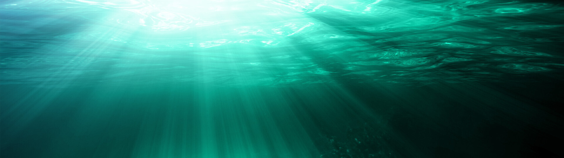 Quick Dive