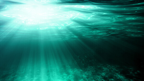 Quick Dive