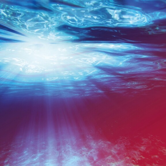 quick-dive-tauchgang-shutterstock-343349687-1zu1-576x576