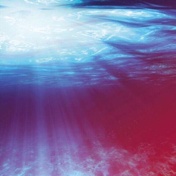 quick-dive-tauchgang-shutterstock-343349687-2zu1-1168x584