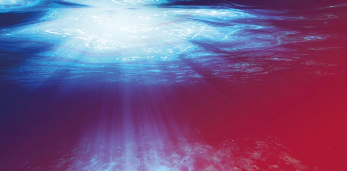 quick-dive-tauchgang-shutterstock-343349687-2zu1-1168x584