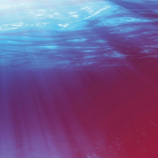 quick-dive-tauchgang-shutterstock-343349687-32zu9-1920x540