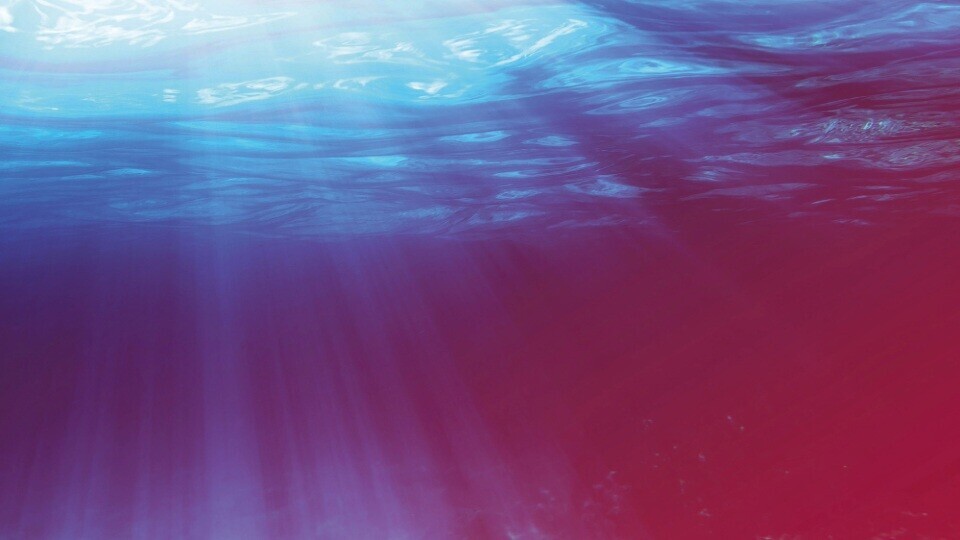 quick-dive-tauchgang-shutterstock-343349687-32zu9-1920x540