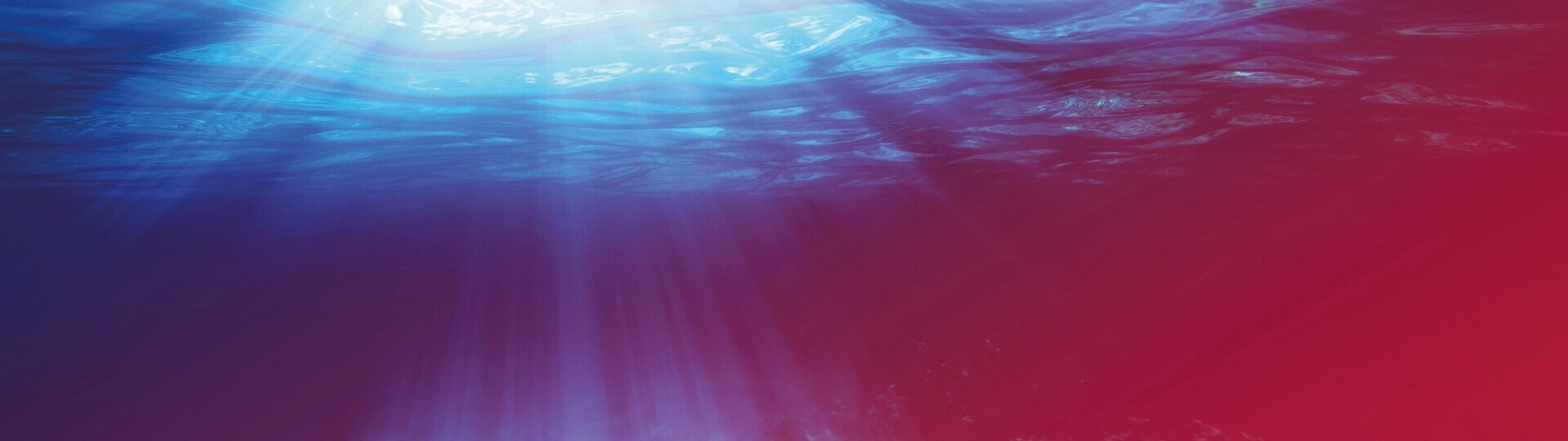 quick-dive-tauchgang-shutterstock-343349687-32zu9-1920x540