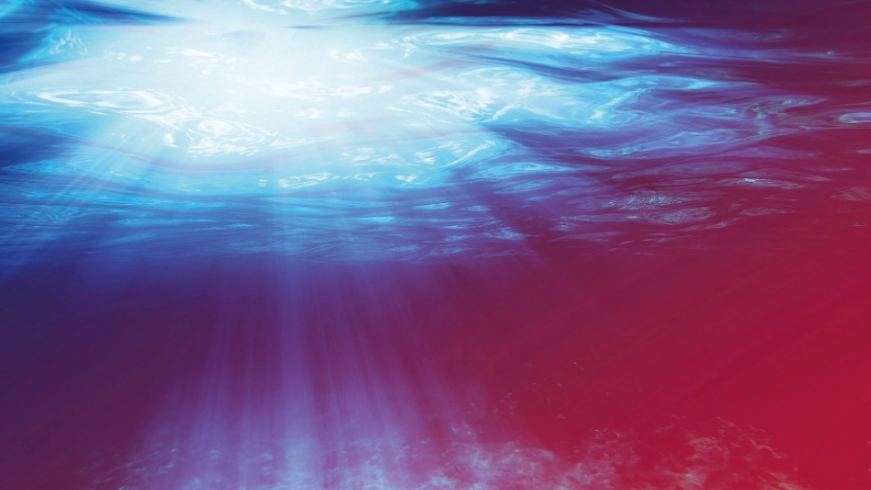 Quick Dive - vovan Shutterstock.com 871 x 490