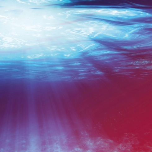 Quick Dive - vovan Shutterstock.com 871 x 490