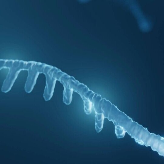 rna-einzelstrang-shutterstock-2043011624-32zu9-1920x540