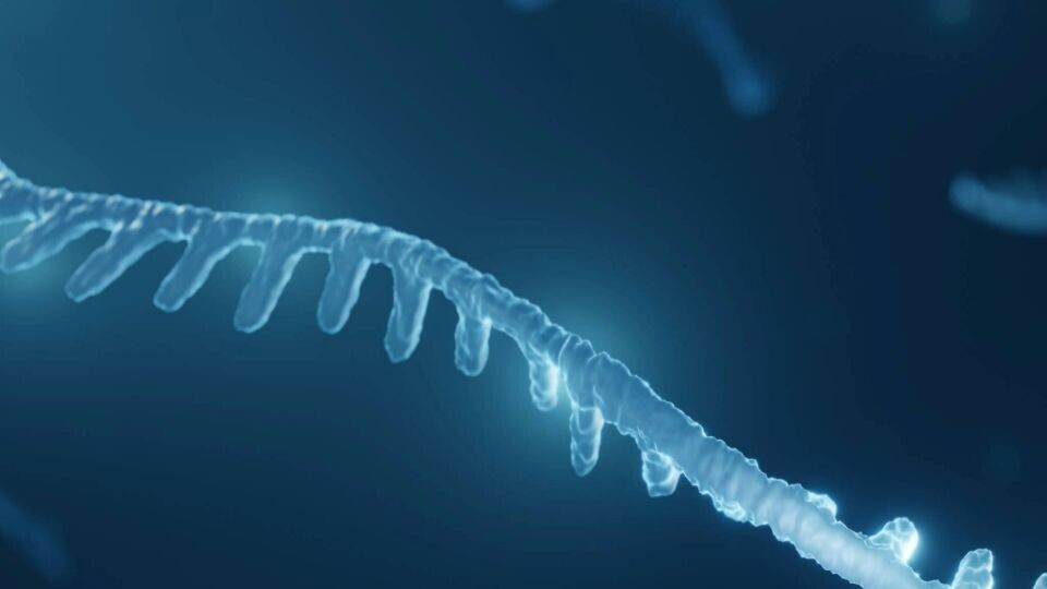 rna-einzelstrang-shutterstock-2043011624-32zu9-1920x540