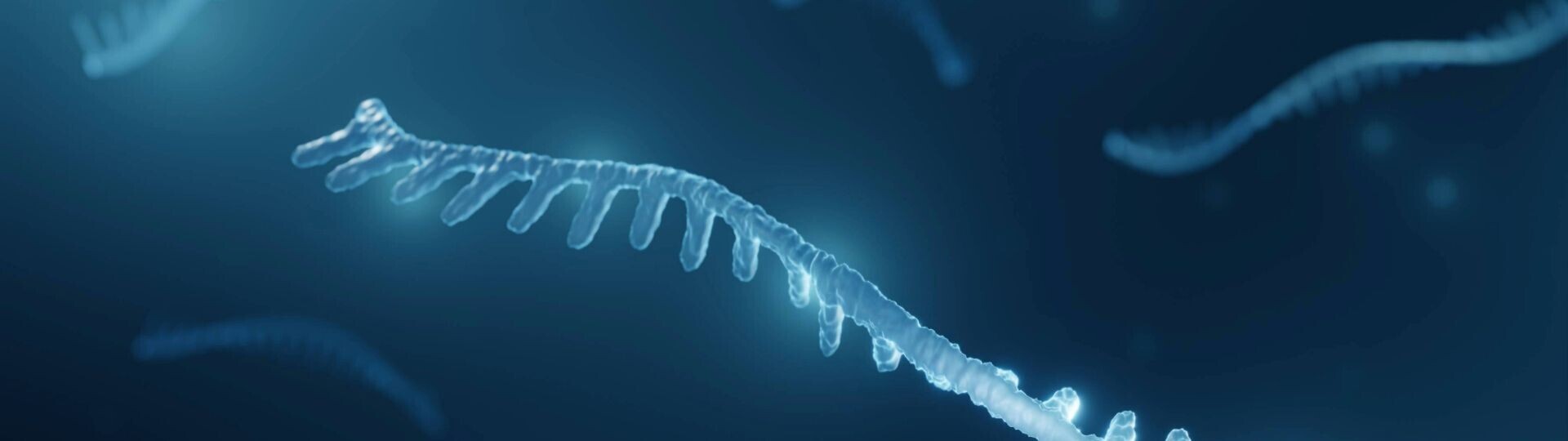 rna-einzelstrang-shutterstock-2043011624-32zu9-1920x540
