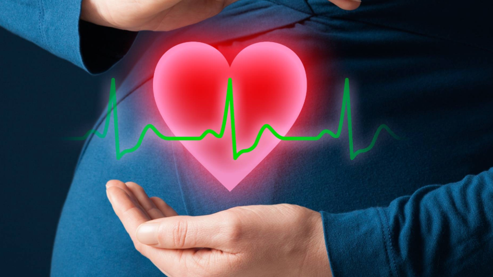 schwangere-frau-herz-shutterstock-382678960-header-1920x540