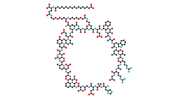 semaglutid-molekuel-shutterstock-587609459-600x338px