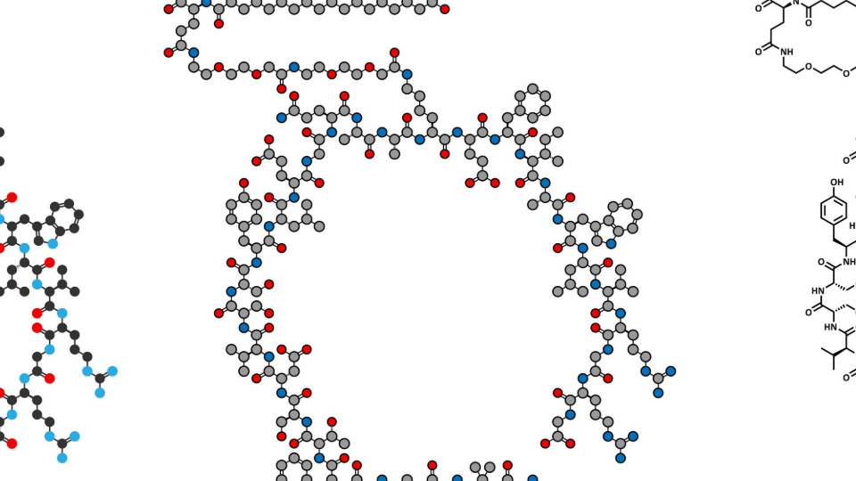semaglutid-molekuel-shutterstock-587609459-original-1920x540