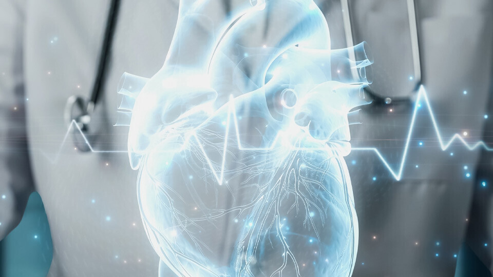 virtual-heart-shutterstock-32zu9-2530434369-1920x540px