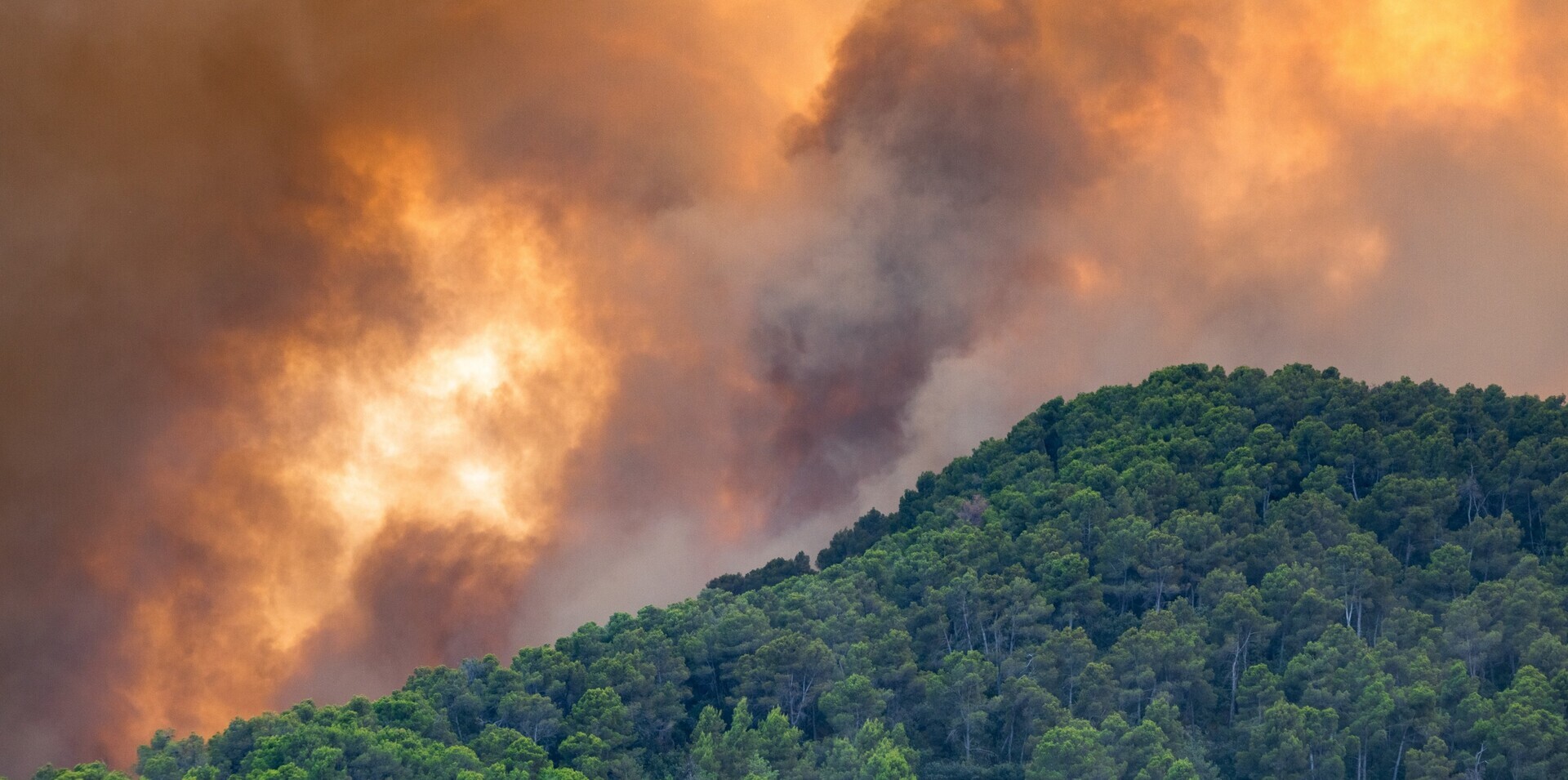 Waldbrand und Rauch