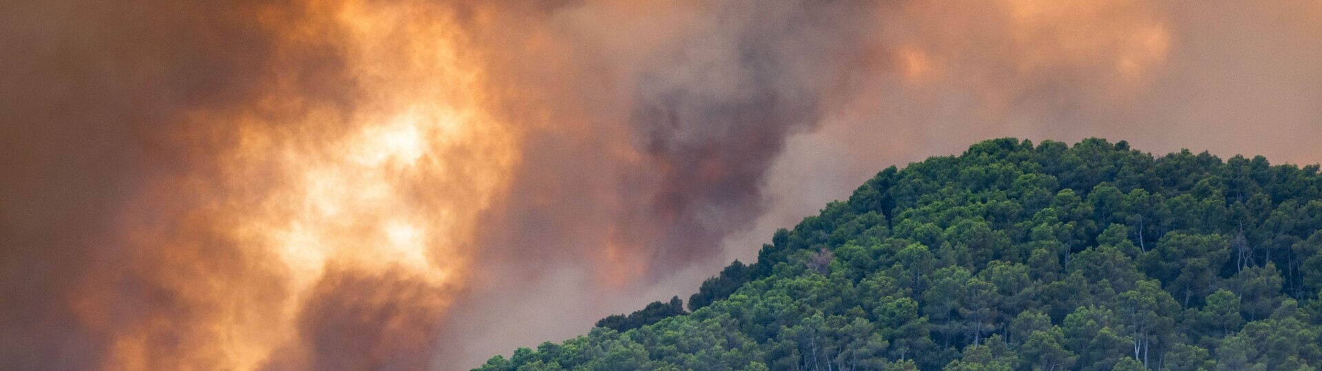 Waldbrand und Rauch