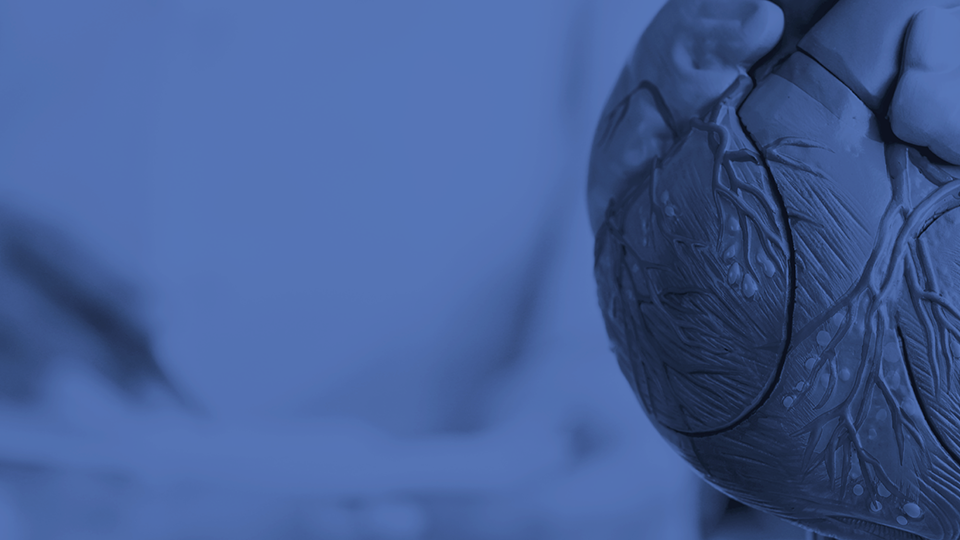 cardiorefresher-1920x540