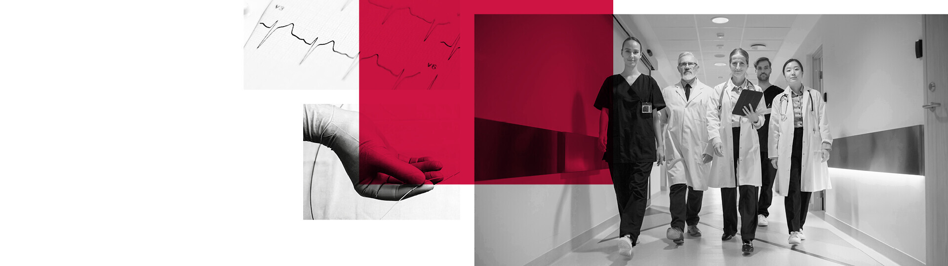 Jahresbericht_2024_der_DGK_webMotivA5