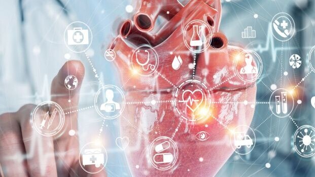 Shutterstock_1715238061-Herz-Digital-Kardiologie-Quadrat