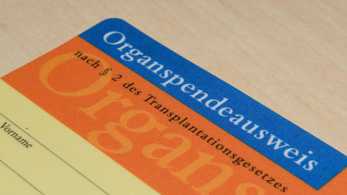 iStock_martin-lang-organspende-herz-512048056-sb