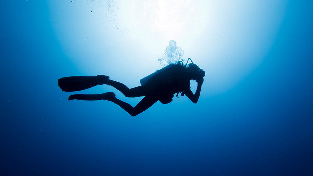 taucher-herz-522449881_T