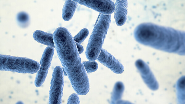 Endokarditis: Symptome, Diagnose und Behandlung