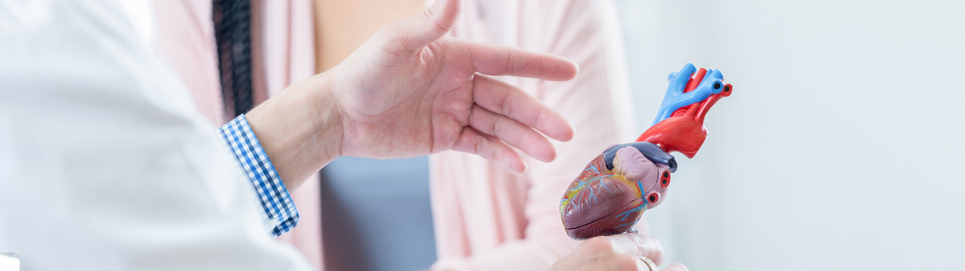 herzmuskelentzuendung-behandlung-701228292-h