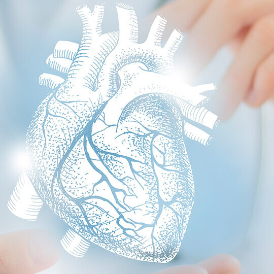 hypertensive-herzkrankheit-1339093358-h