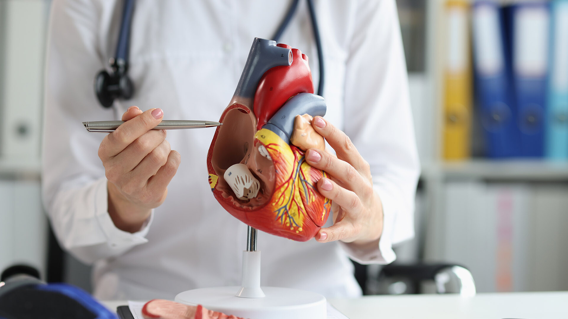 perikarderguss-herzmuskel-1473893654-it