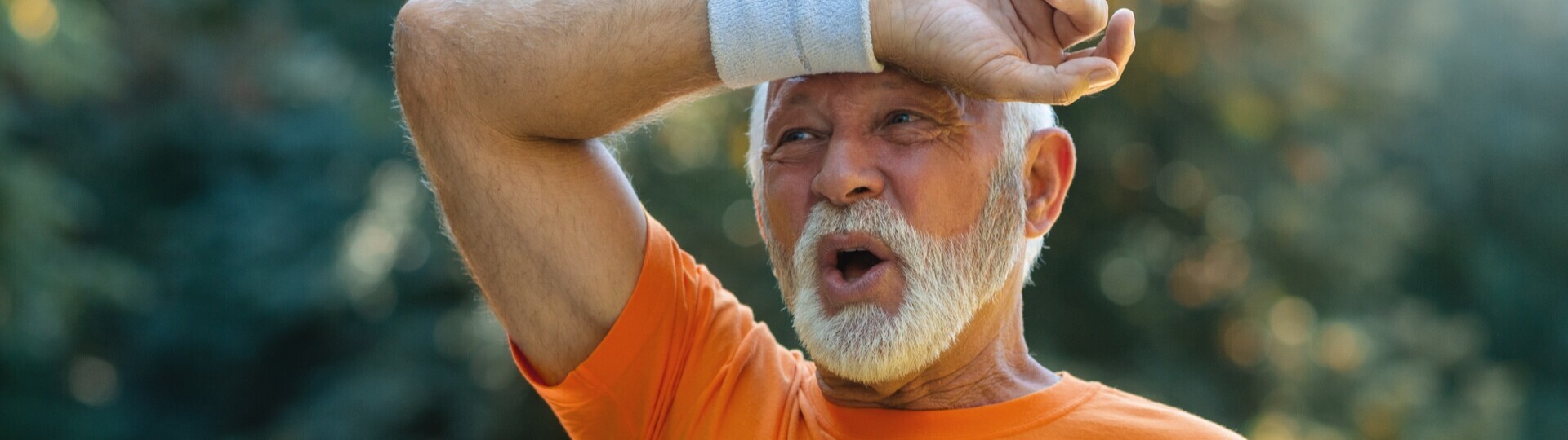 SPT Herzinsuffizienz_amyloidose_header1_Quelle_AdobeStock_Dexon Dee