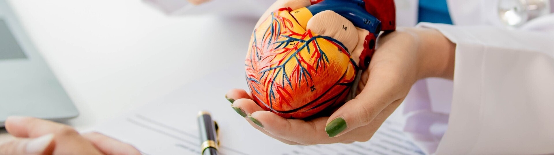 SPT Herzinsuffizienz_Stadien_Hero_shutterstock_ Mr.Pang Jingta_2432461027