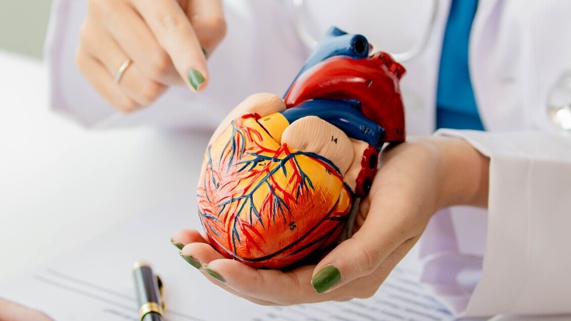 SPT Herzinsuffizienz_Stadien_Sticky_shutterstock_ Mr.Pang Jingta-2432461028-cropped