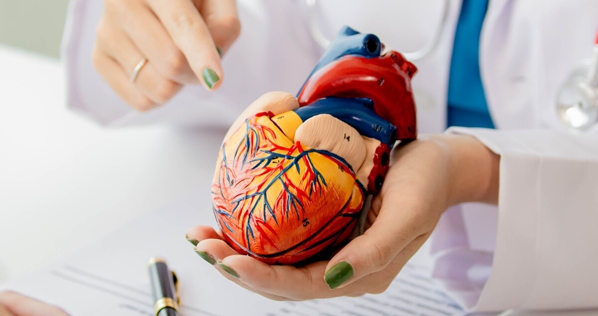 SPT Herzinsuffizienz_Stadien_Sticky_shutterstock_ Mr.Pang Jingta-2432461028-cropped