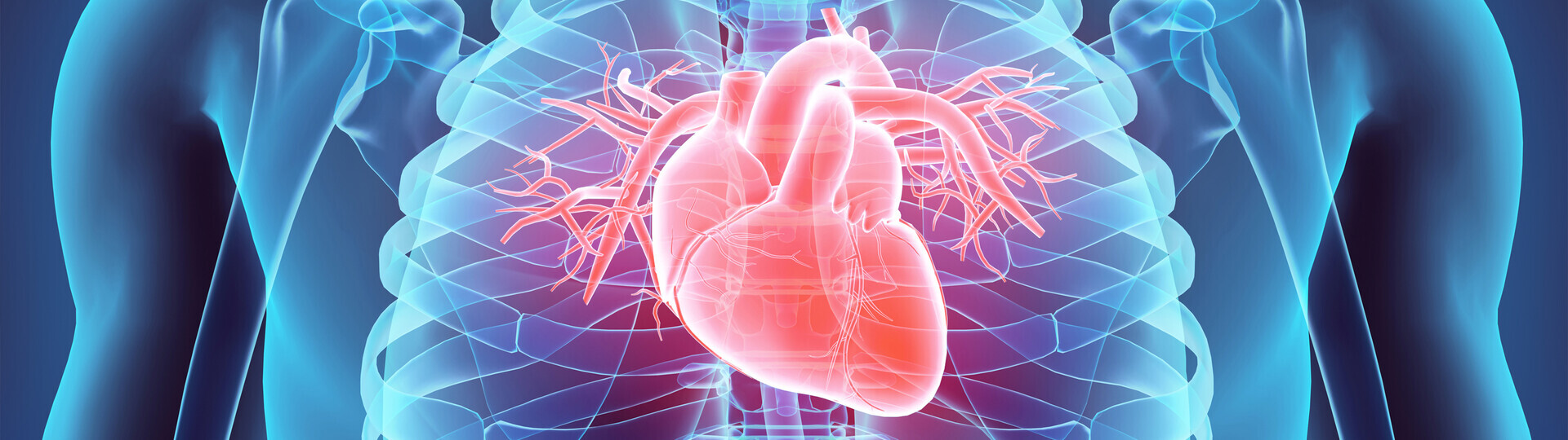 vorhofflimmern-herzrhythmusstoerung-iStock-530199842-h