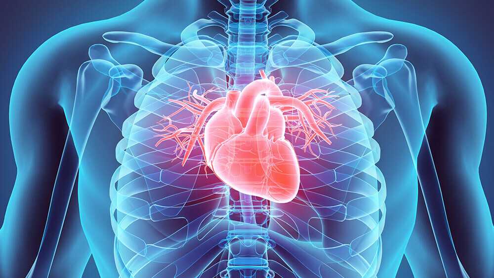 vorhofflimmern-herzrhythmusstoerung-iStock-530199842-t